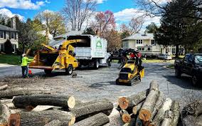 Reliable Shorewood, IL Tree Removal and Landscaping Services Solutions